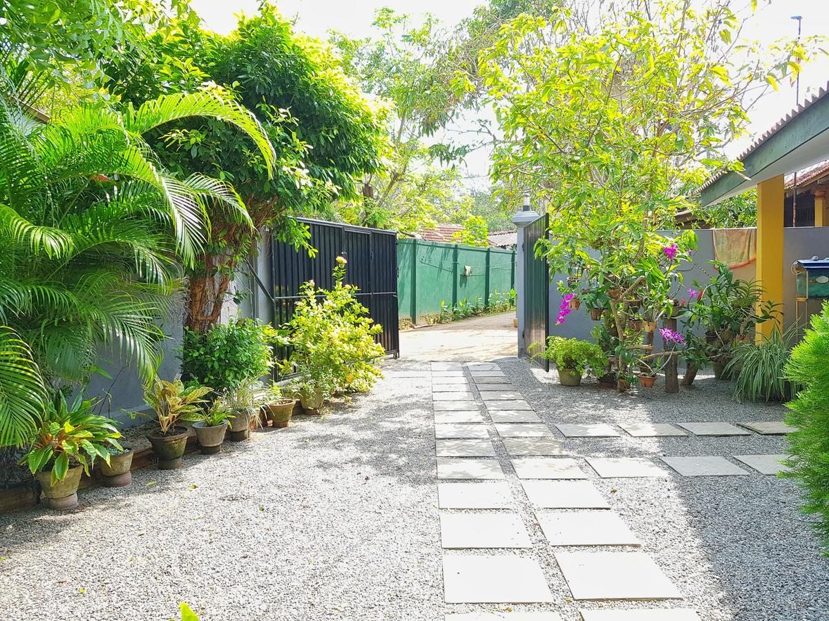 Sweden Inn Guesthouse ฮิกคาดูวา ภายนอก รูปภาพ