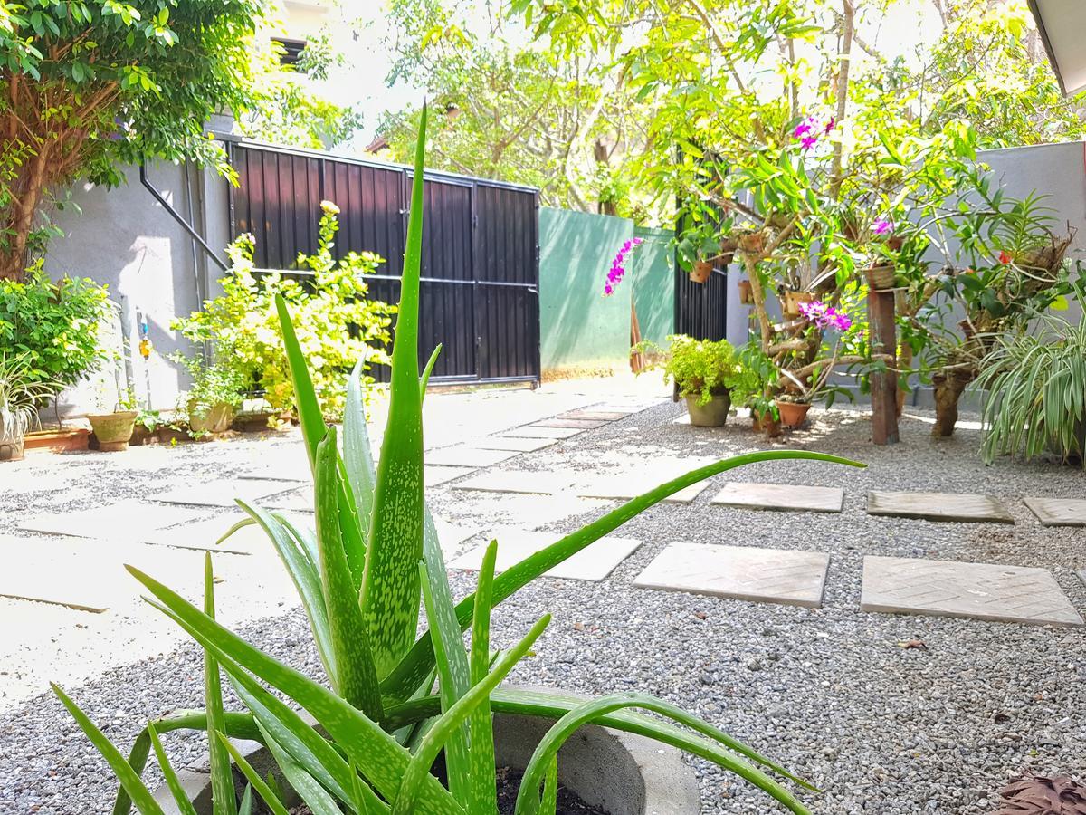 Sweden Inn Guesthouse ฮิกคาดูวา ภายนอก รูปภาพ